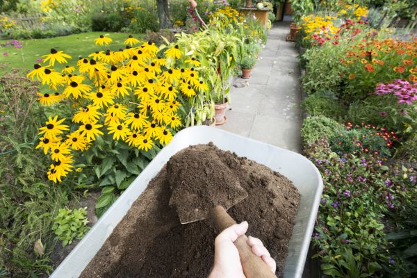 Dirt Installation